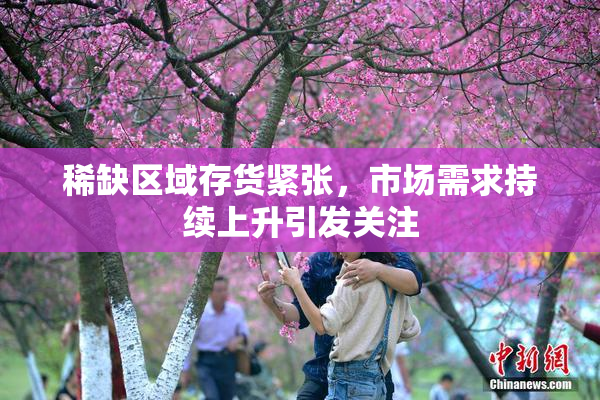 稀缺区域存货紧张，市场需求持续上升引发关注