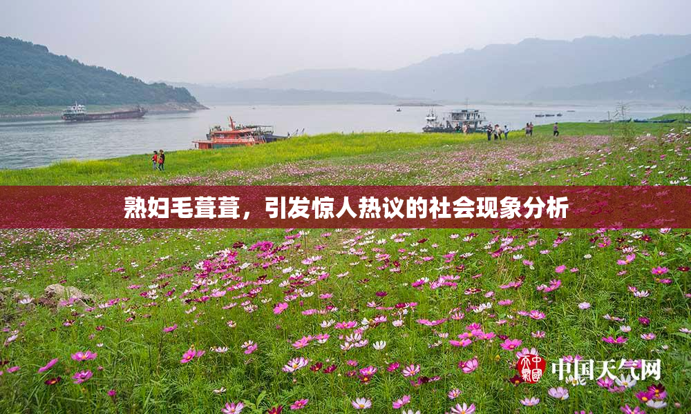 熟妇毛葺葺，引发惊人热议的社会现象分析