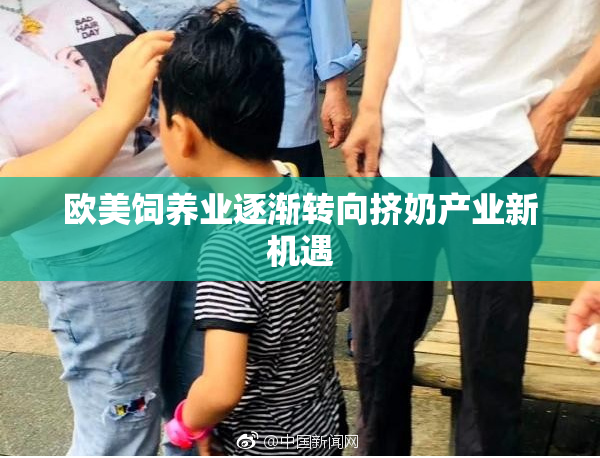 欧美饲养业逐渐转向挤奶产业新机遇