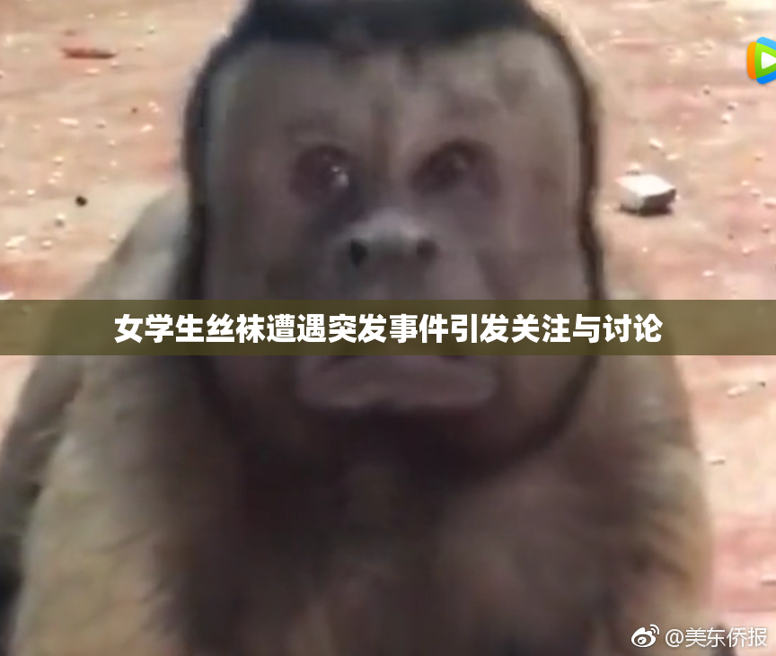 女学生丝袜遭遇突发事件引发关注与讨论