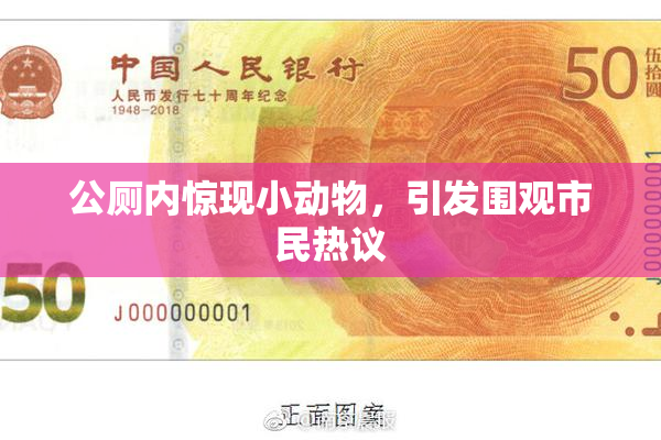 公厕内惊现小动物，引发围观市民热议