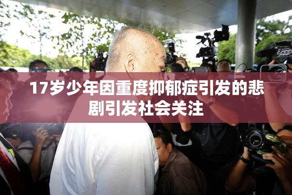 17岁少年因重度抑郁症引发的悲剧引发社会关注
