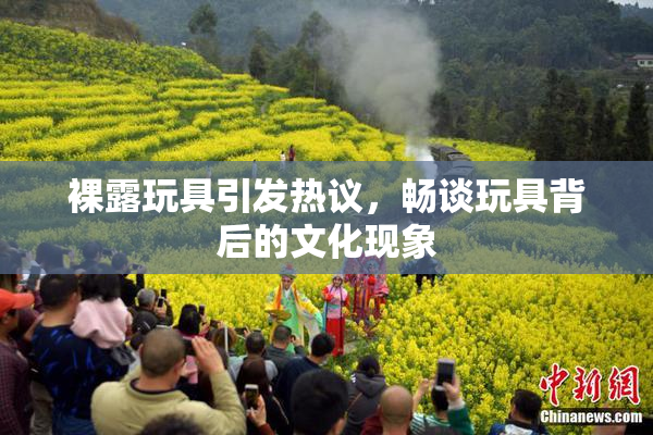 裸露玩具引发热议，畅谈玩具背后的文化现象