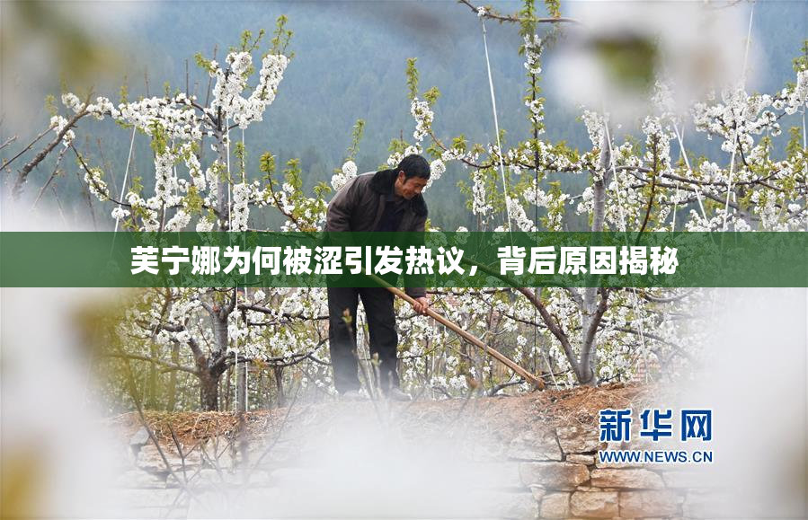 芙宁娜为何被涩引发热议，背后原因揭秘