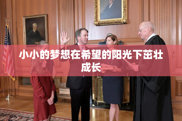 小小的梦想在希望的阳光下茁壮成长