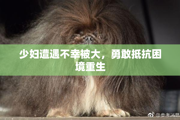 少妇遭遇不幸被大，勇敢抵抗困境重生