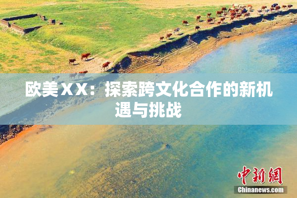 欧美ⅩX：探索跨文化合作的新机遇与挑战