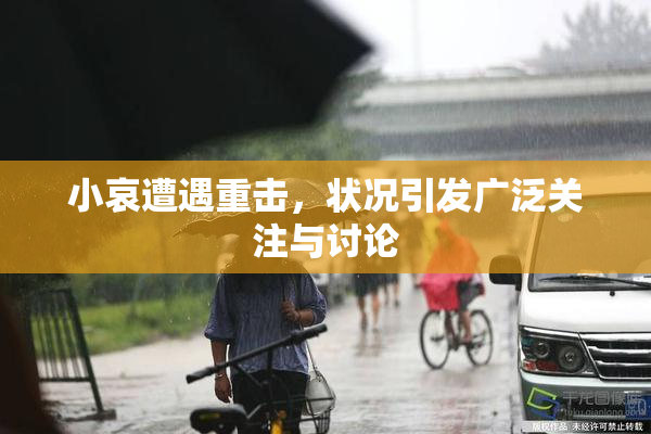 小哀遭遇重击，状况引发广泛关注与讨论