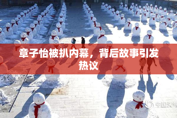 章子怡被扒内幕，背后故事引发热议