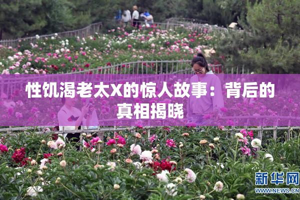性饥渴老太X的惊人故事：背后的真相揭晓