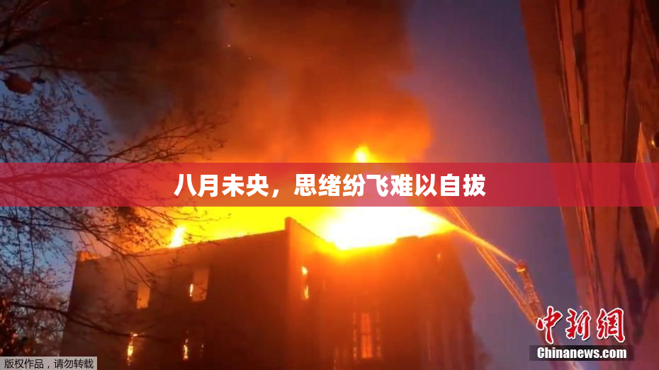 八月未央，思绪纷飞难以自拔