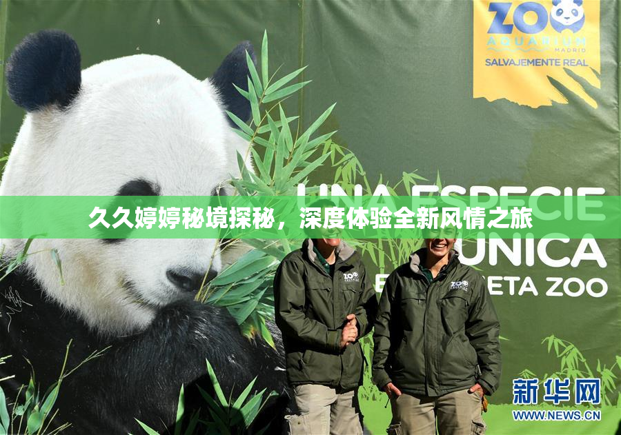 久久婷婷秘境探秘，深度体验全新风情之旅