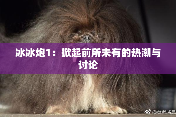 冰冰炮1：掀起前所未有的热潮与讨论