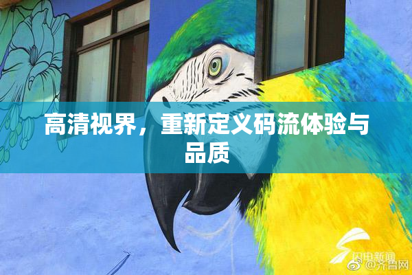 高清视界，重新定义码流体验与品质