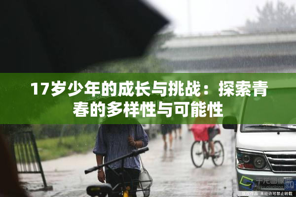 17岁少年的成长与挑战：探索青春的多样性与可能性