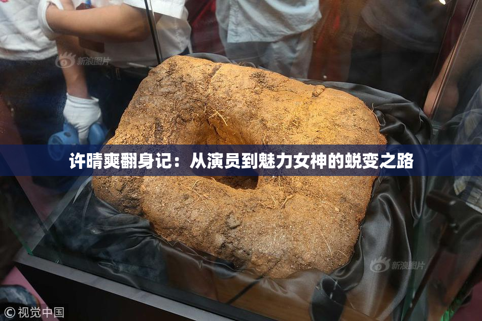 许晴爽翻身记：从演员到魅力女神的蜕变之路