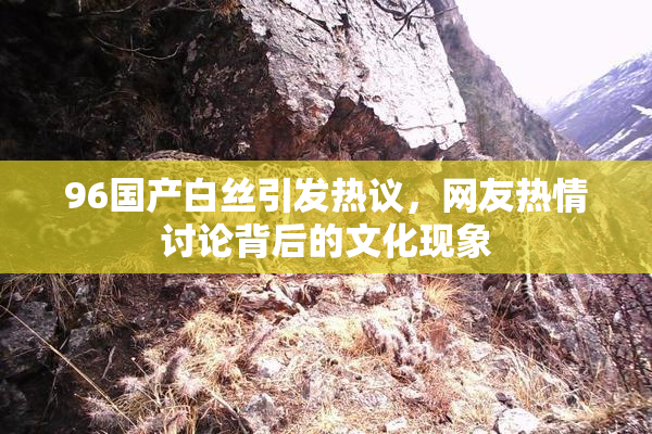 96国产白丝引发热议，网友热情讨论背后的文化现象