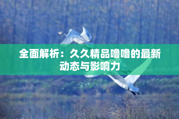 全面解析：久久精品噜噜的最新动态与影响力
