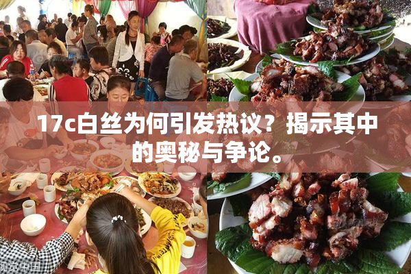 17c白丝为何引发热议？揭示其中的奥秘与争论。