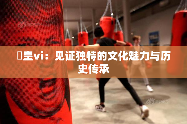 嘼皇vi：见证独特的文化魅力与历史传承