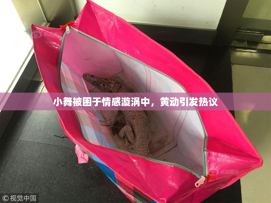 小舞被困于情感漩涡中，黄动引发热议