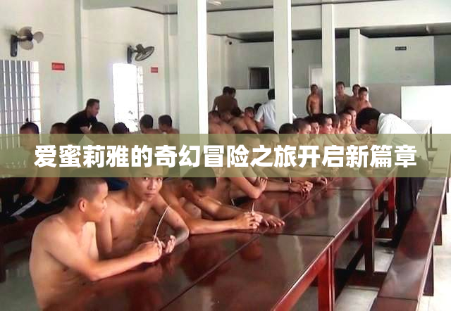 爱蜜莉雅的奇幻冒险之旅开启新篇章