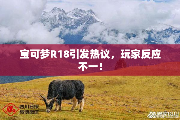宝可梦R18引发热议，玩家反应不一！