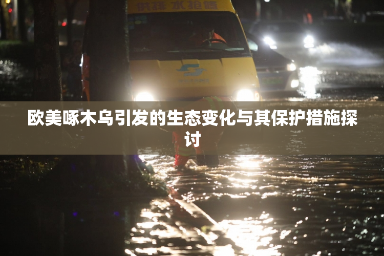 欧美啄木乌引发的生态变化与其保护措施探讨