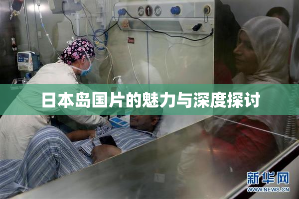 日本岛国片的魅力与深度探讨