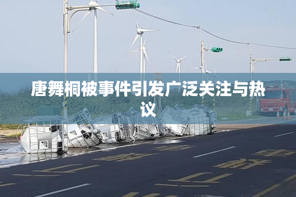 唐舞桐被事件引发广泛关注与热议