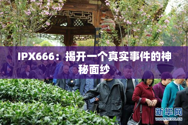 IPX666：揭开一个真实事件的神秘面纱