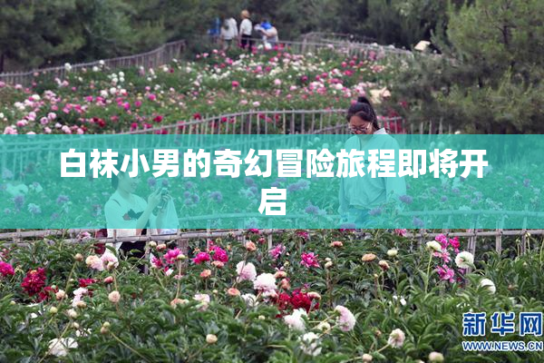 白袜小男的奇幻冒险旅程即将开启