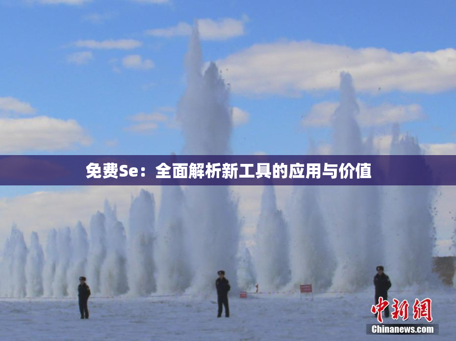 免费Se：全面解析新工具的应用与价值