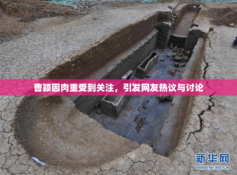 曹颖因肉重受到关注，引发网友热议与讨论