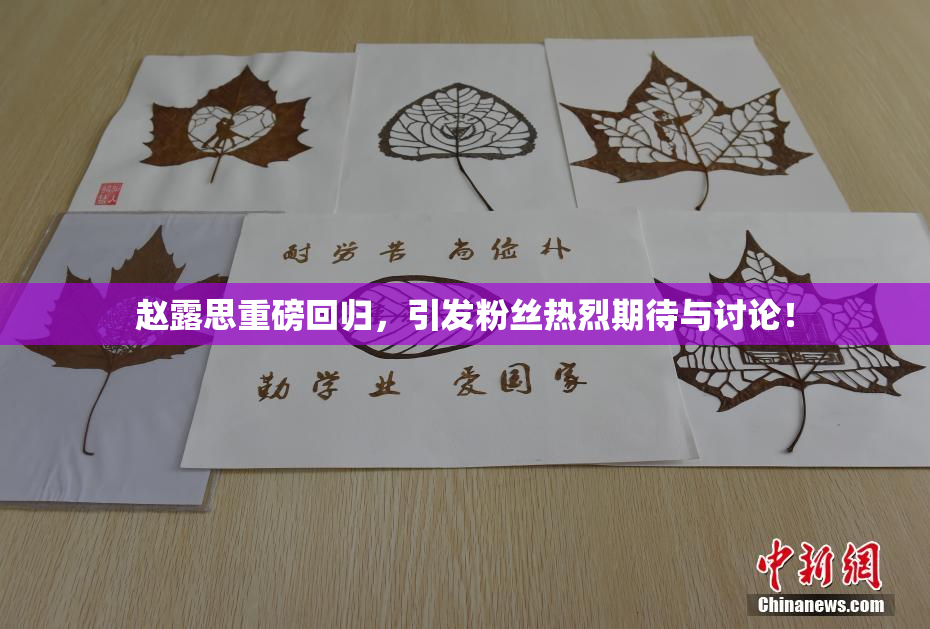 赵露思重磅回归，引发粉丝热烈期待与讨论！