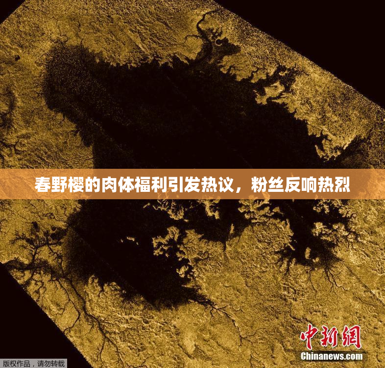 春野樱的肉体福利引发热议，粉丝反响热烈