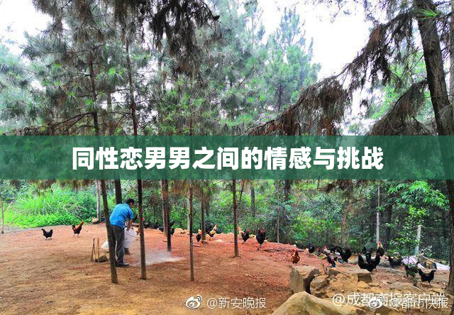 同性恋男男之间的情感与挑战