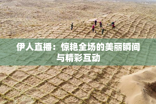 伊人直播：惊艳全场的美丽瞬间与精彩互动
