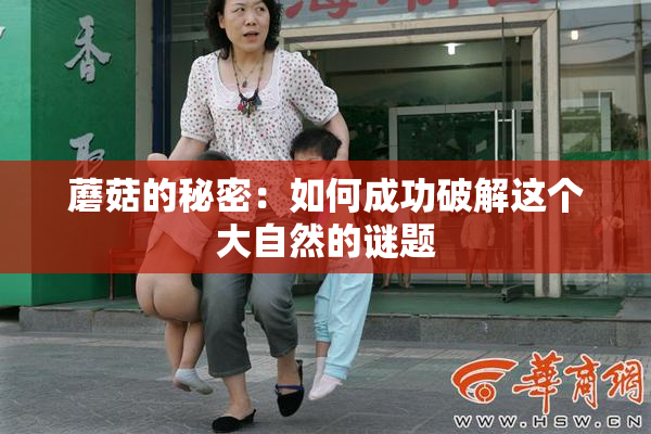 蘑菇的秘密：如何成功破解这个大自然的谜题