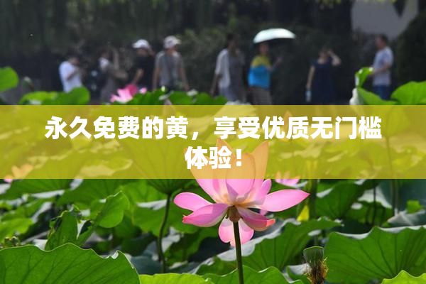 永久免费的黄，享受优质无门槛体验！