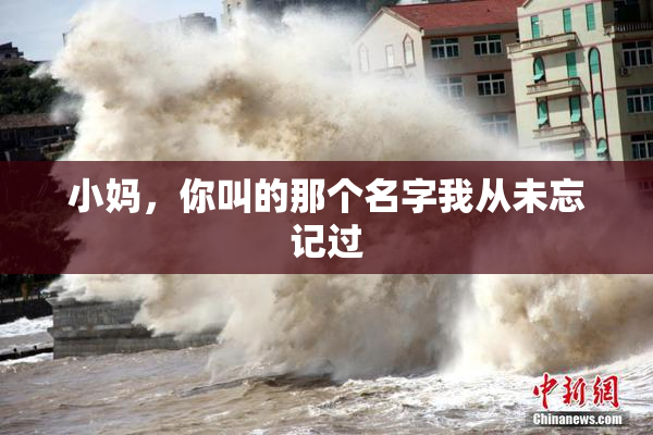 小妈，你叫的那个名字我从未忘记过
