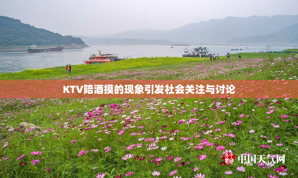 KTV陪酒摸的现象引发社会关注与讨论