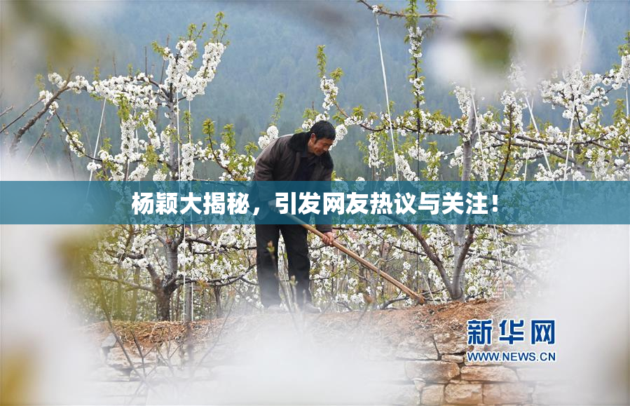 杨颖大揭秘，引发网友热议与关注！