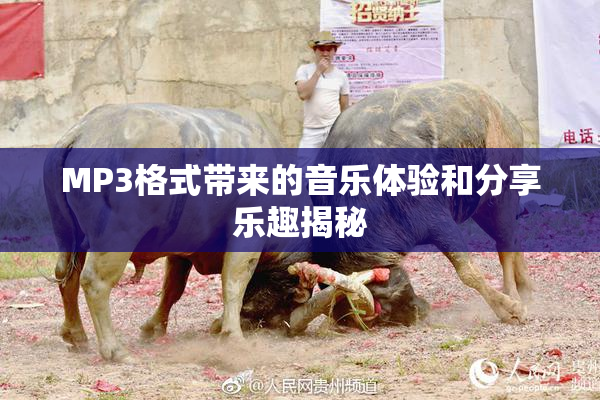 MP3格式带来的音乐体验和分享乐趣揭秘