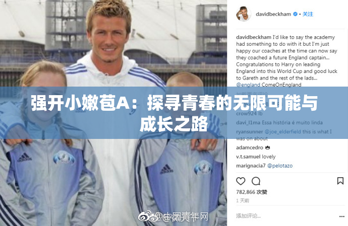 强开小嫩苞A：探寻青春的无限可能与成长之路