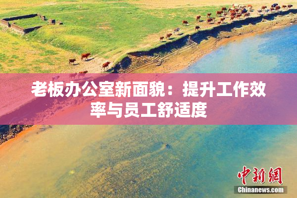 老板办公室新面貌：提升工作效率与员工舒适度
