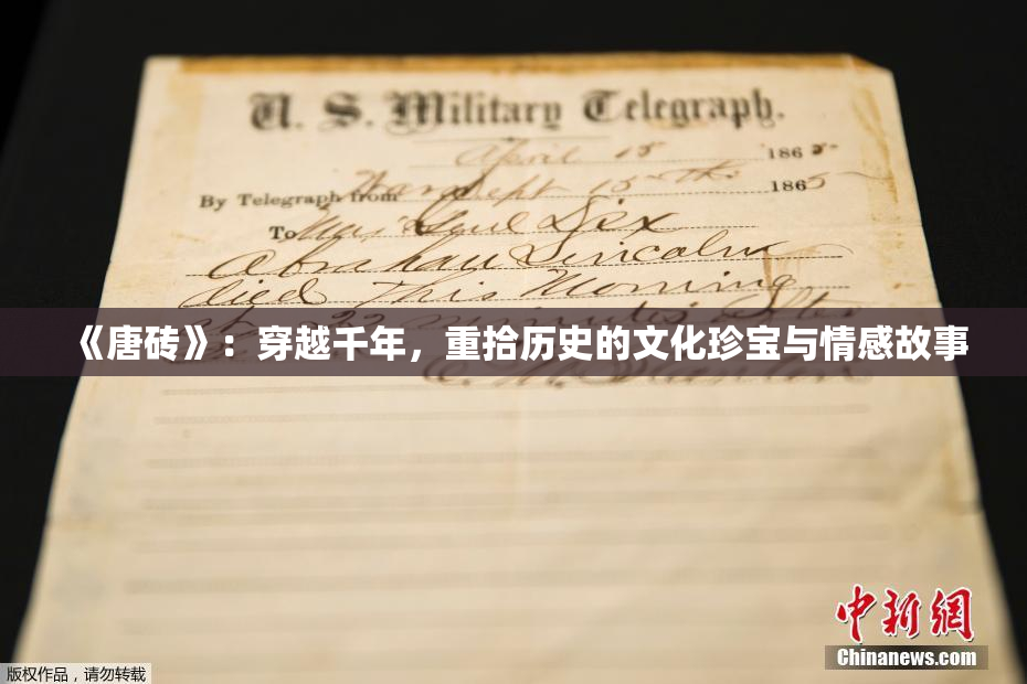 《唐砖》：穿越千年，重拾历史的文化珍宝与情感故事