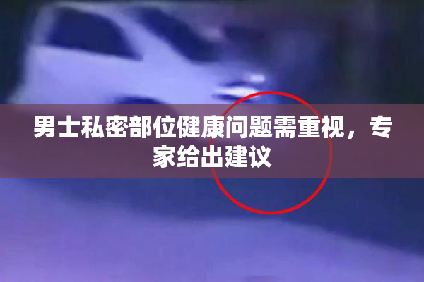 男士私密部位健康问题需重视，专家给出建议