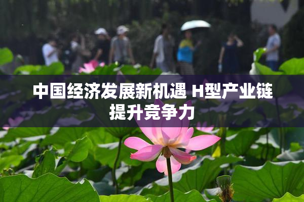 中国经济发展新机遇 H型产业链提升竞争力