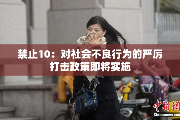 禁止10：对社会不良行为的严厉打击政策即将实施